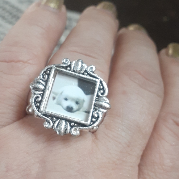 Dog photo stretch ring - Picture 2 of 6